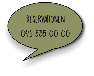 reservationen 041 535 00 00